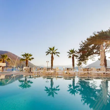 Marbas Select , Adult Only 14 איסמלר