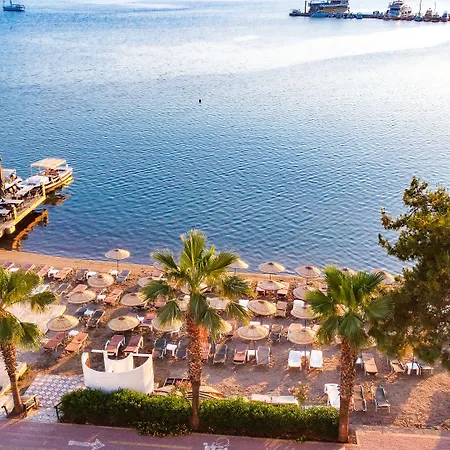 Marbas Select , Adult Only 14